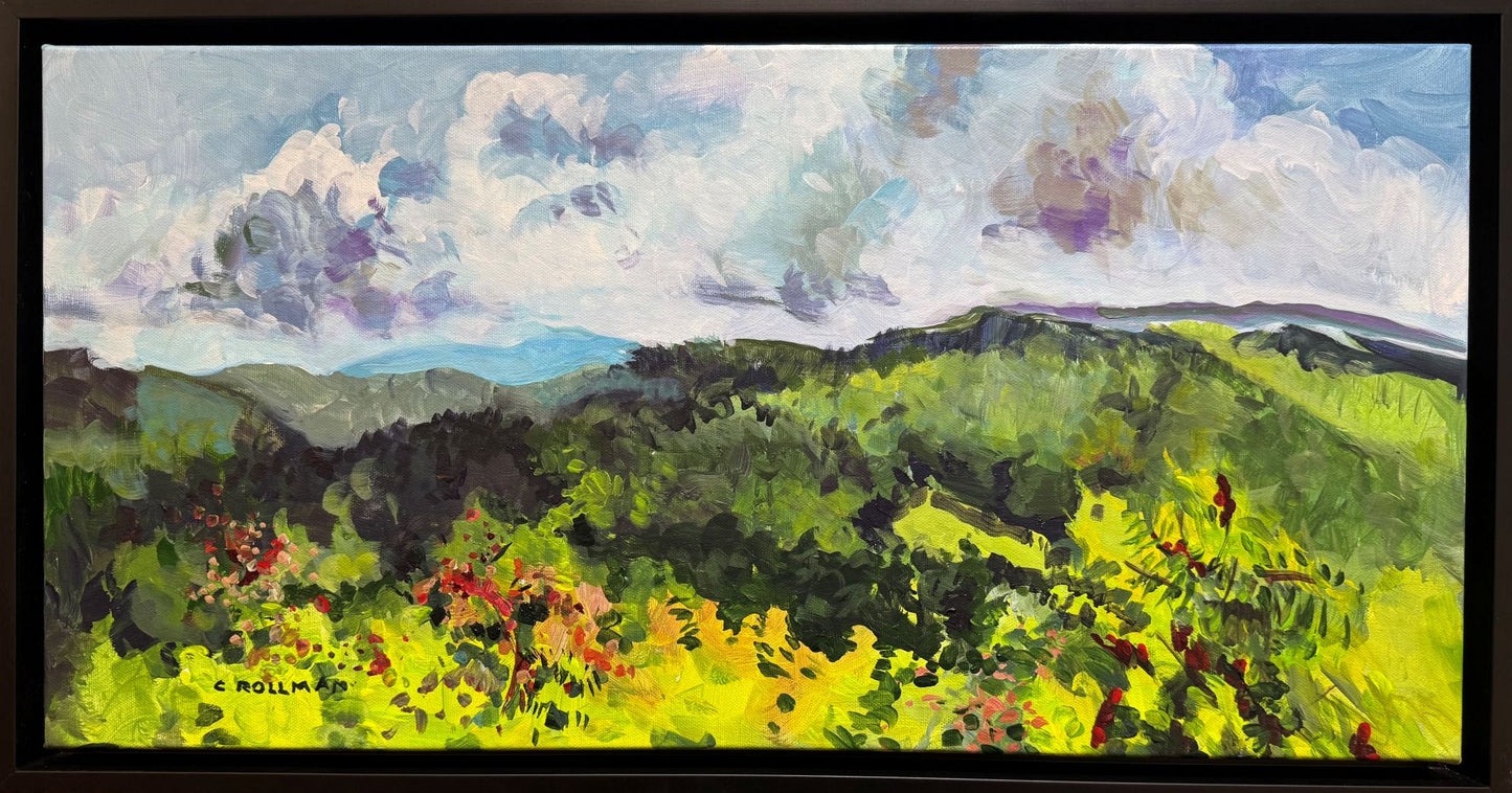 Cloud Shadows - Acrylic Painting by artist Charlotte Rollman 12x24