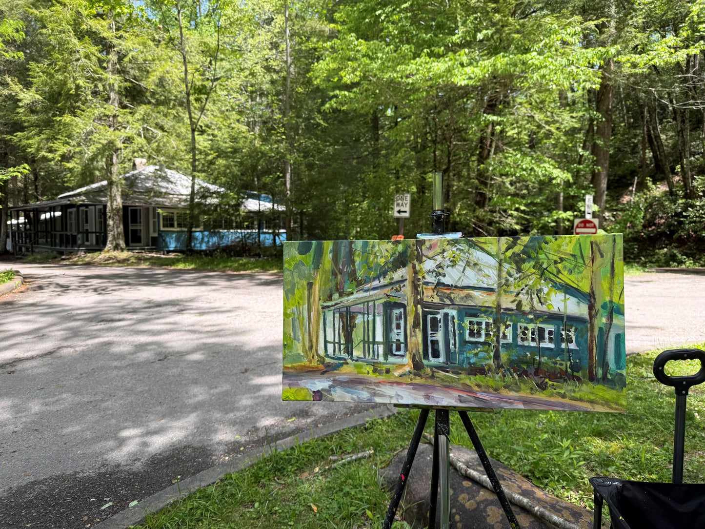 Elkmont One-Way - Acrylic Painting by artist Charlotte Rollman 12x24