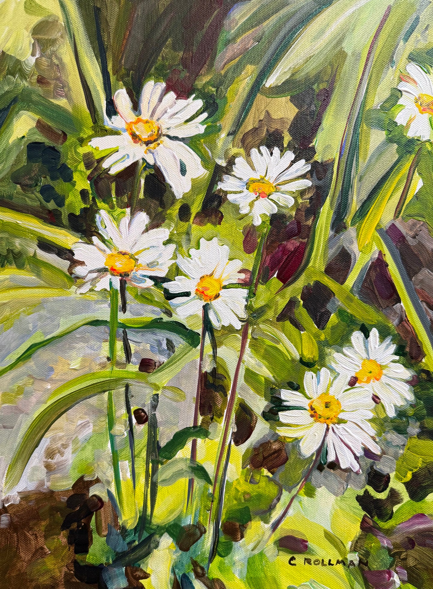 Daisy Day  - Acrylic Painting by artist Charlotte Rollman