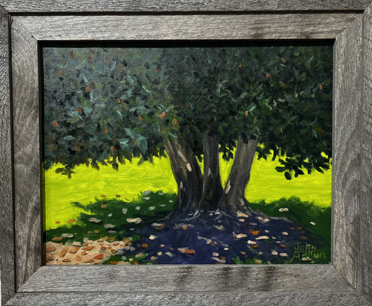 Magnolia Morning  - Oil Painting by artist John Adkins