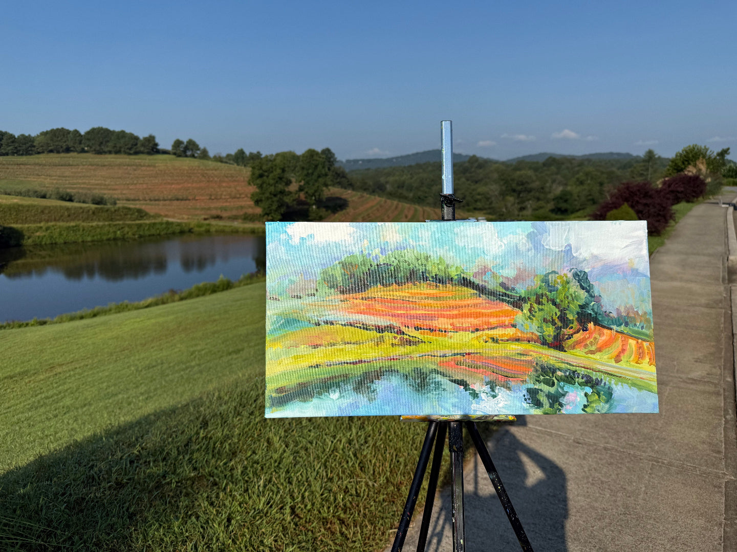 Apples and Oranges - Acrylic Painting by artist Charlotte Rollman 12x24