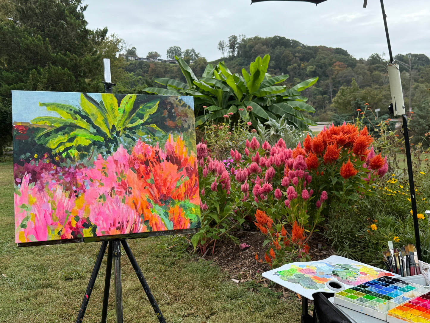 Plumed Cockscomb - Acrylic Painting by Artist Charlotte Rollman 16x20
