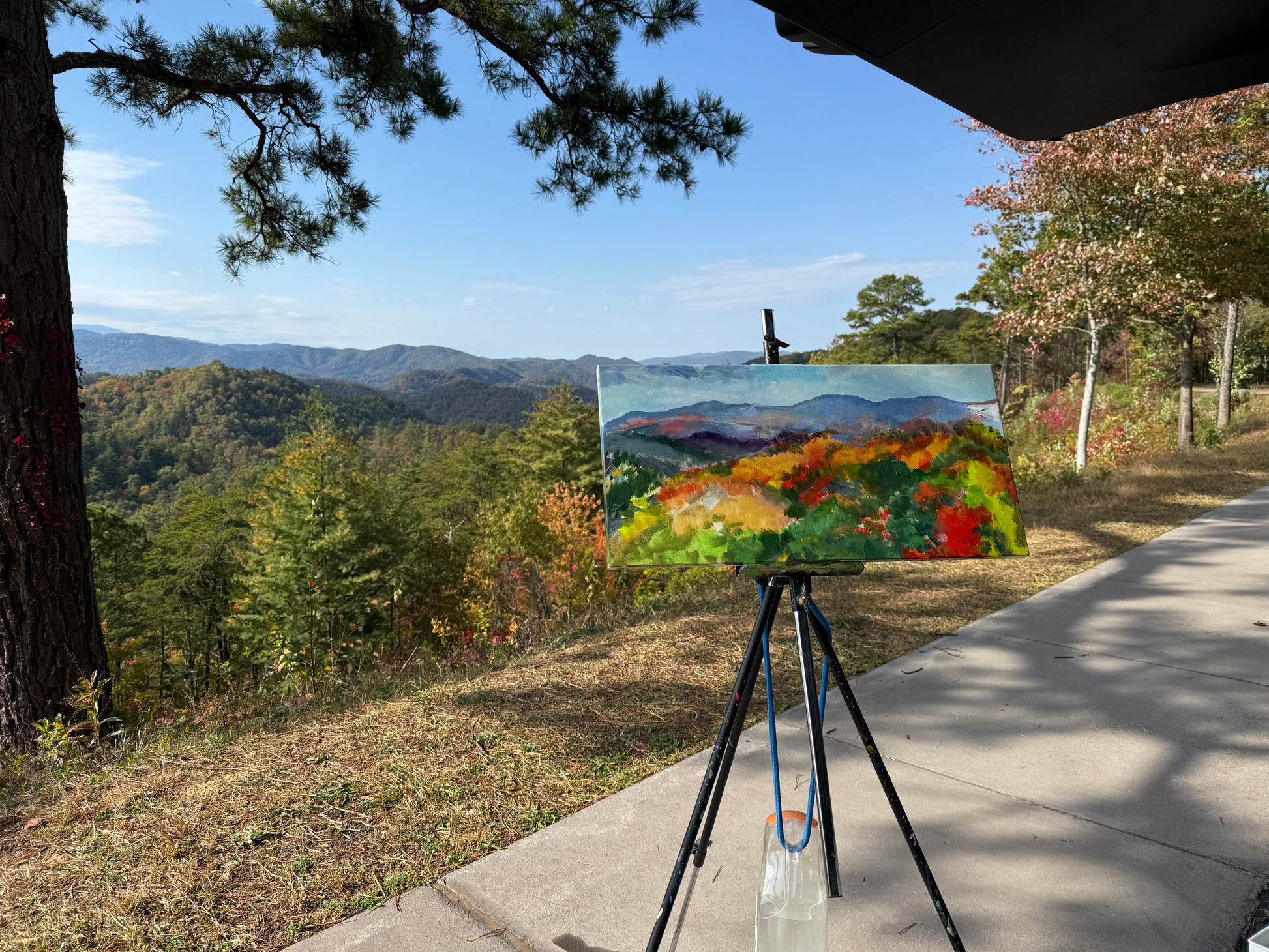 Painting of a landscape on an easel with a scenic view of mountains and trees in the background. Painting by Charlotte Rollman - Adkins Rollman Gallery.