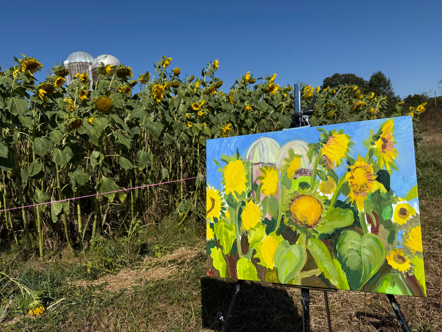 Sunflower field with a painting of sunflowers on an easel.