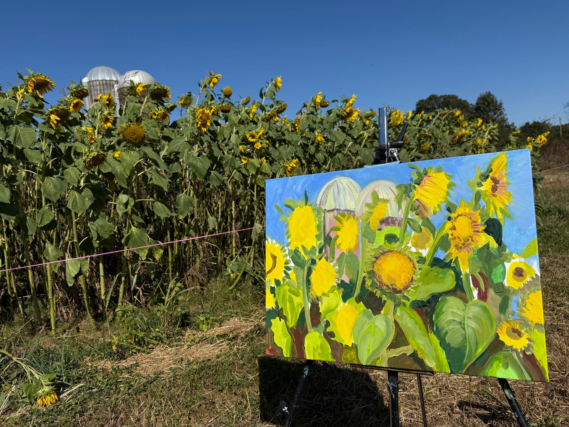 Sunflower field with a painting of sunflowers on an easel.