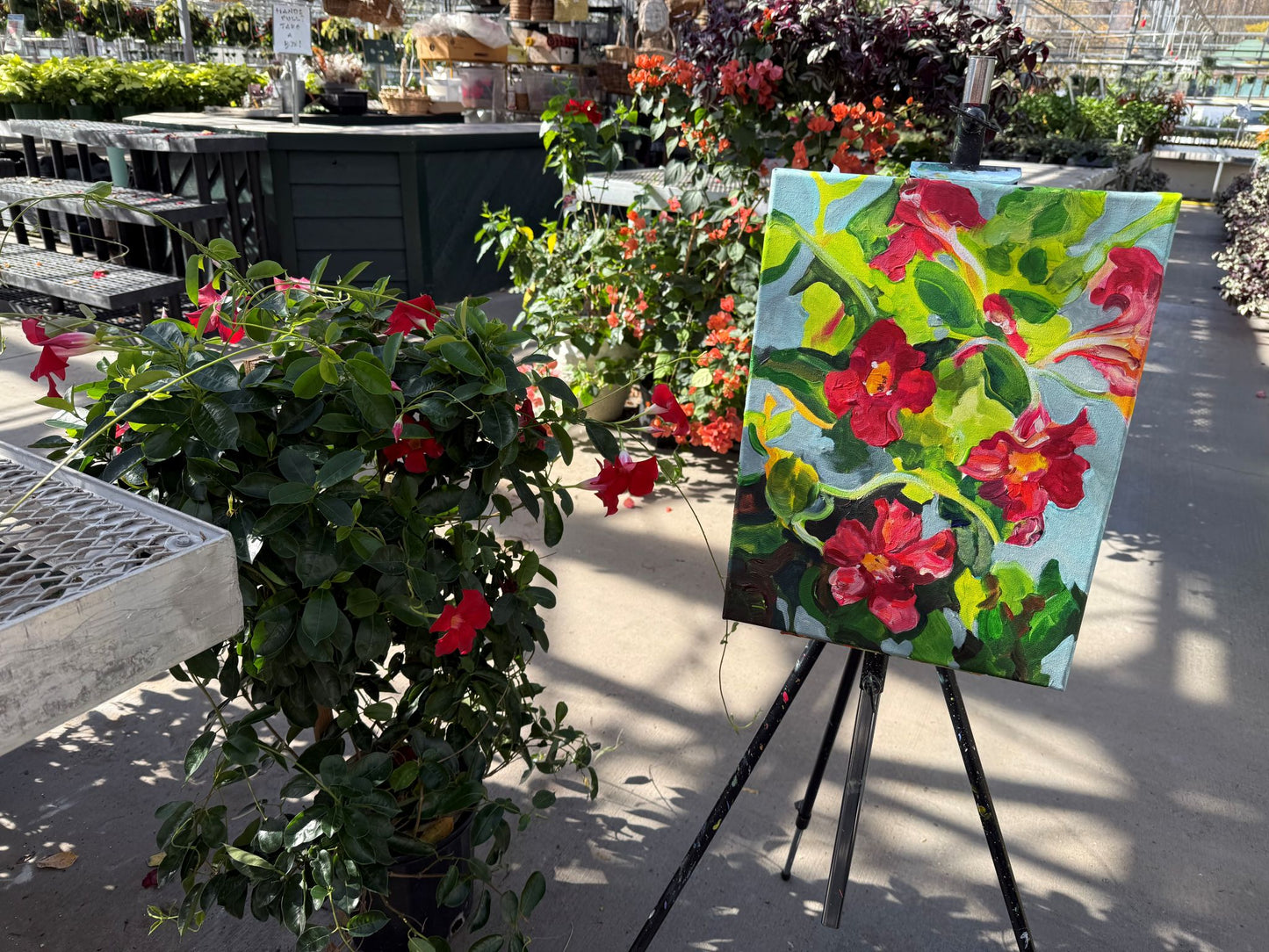 Mandevilla - Acrylic Painting by artist Charlotte Rollman 14x11