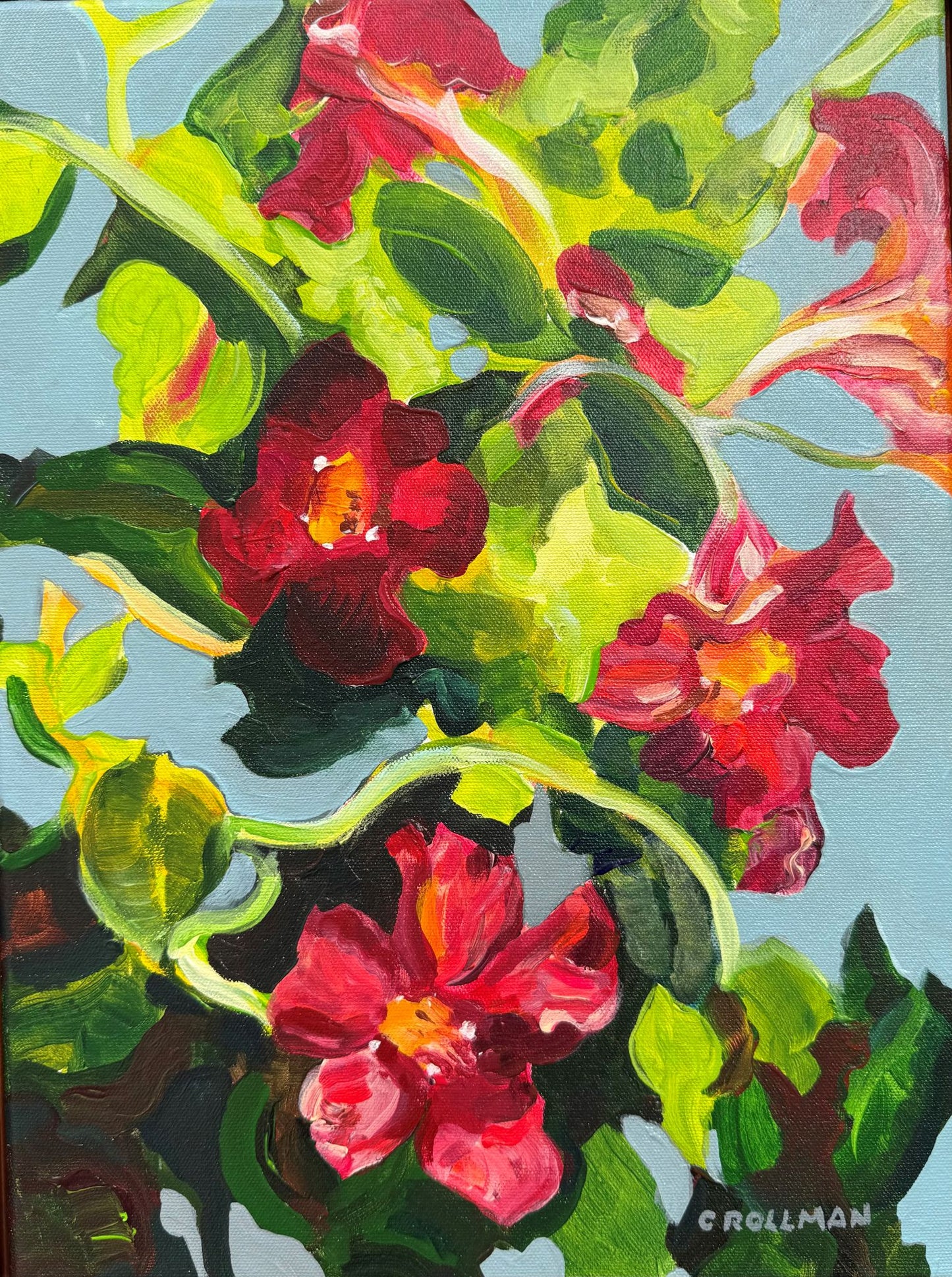 Mandevilla - Acrylic Painting by artist Charlotte Rollman 14x11