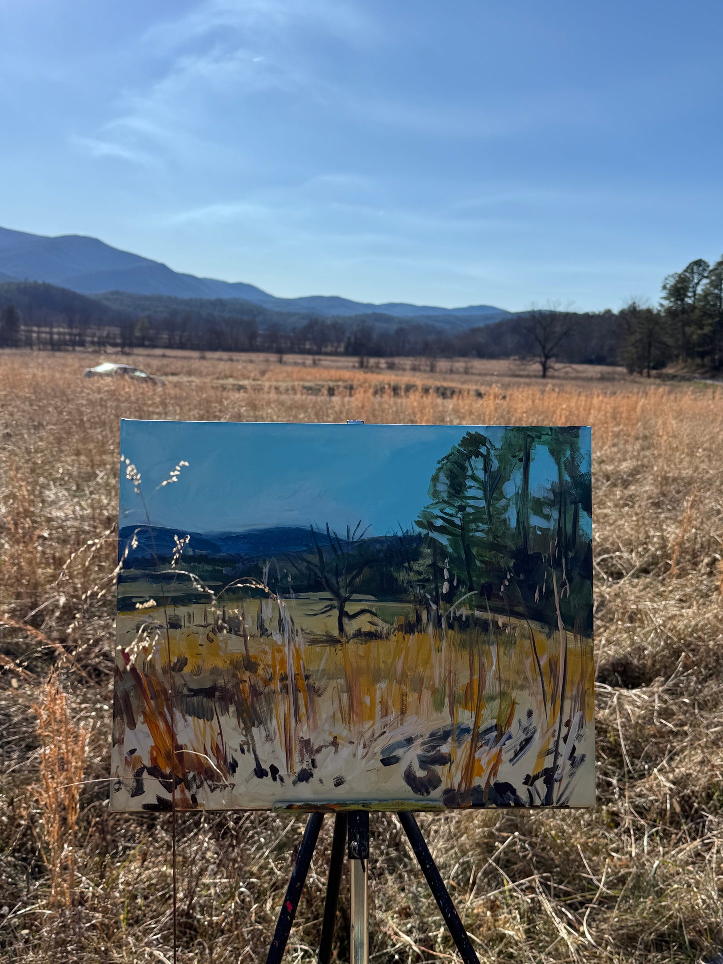 John Oliver looking at Martha's Branch - Acrylic Painting by Artist Charlotte Rollman 16x20