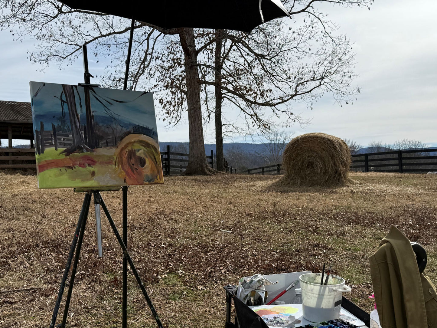 Smokies Sheep - Acrylic Painting by Artist Charlotte Rollman 16x20