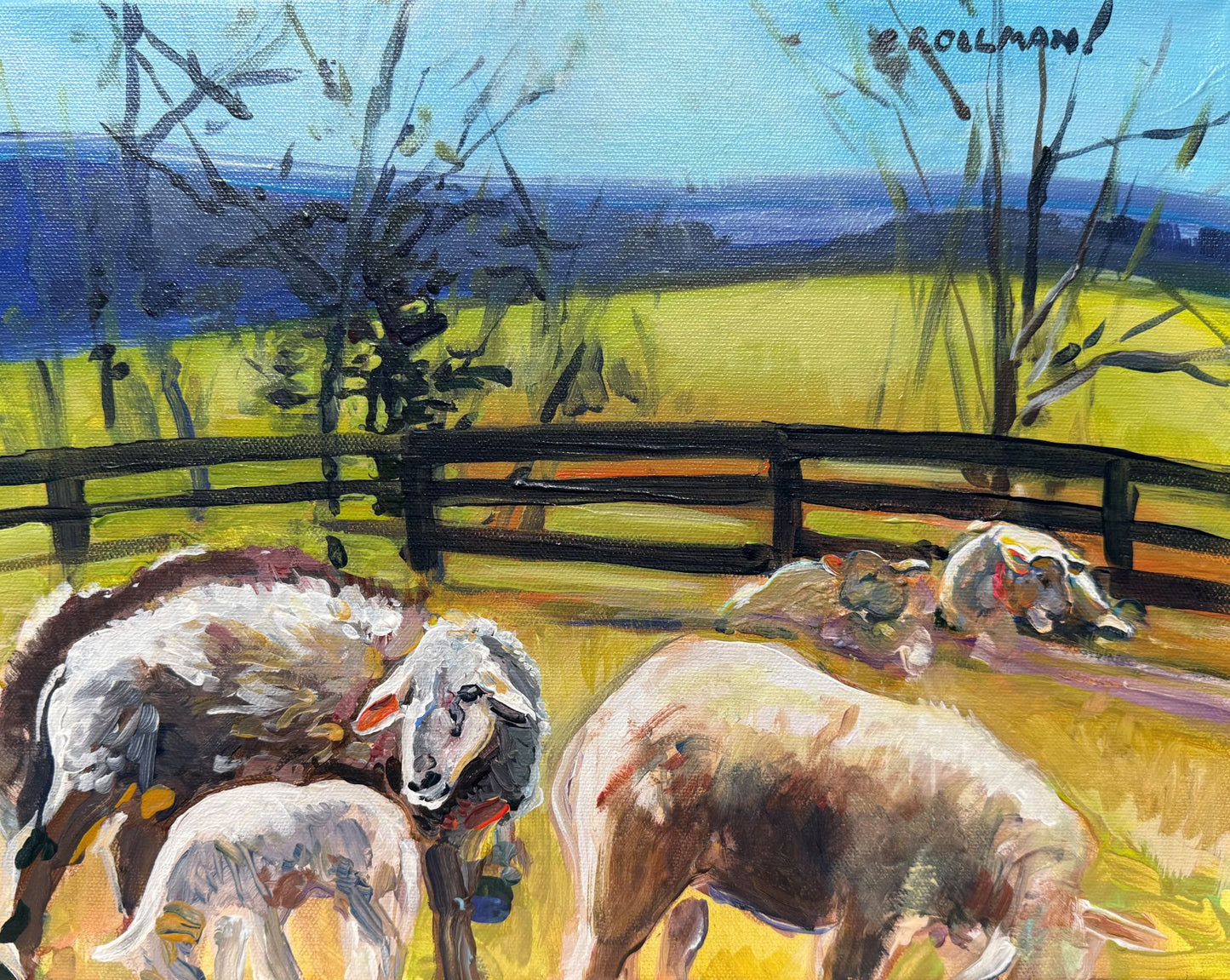 Little Lambs  - Acrylic Painting by artist Charlotte Rollman 11x14