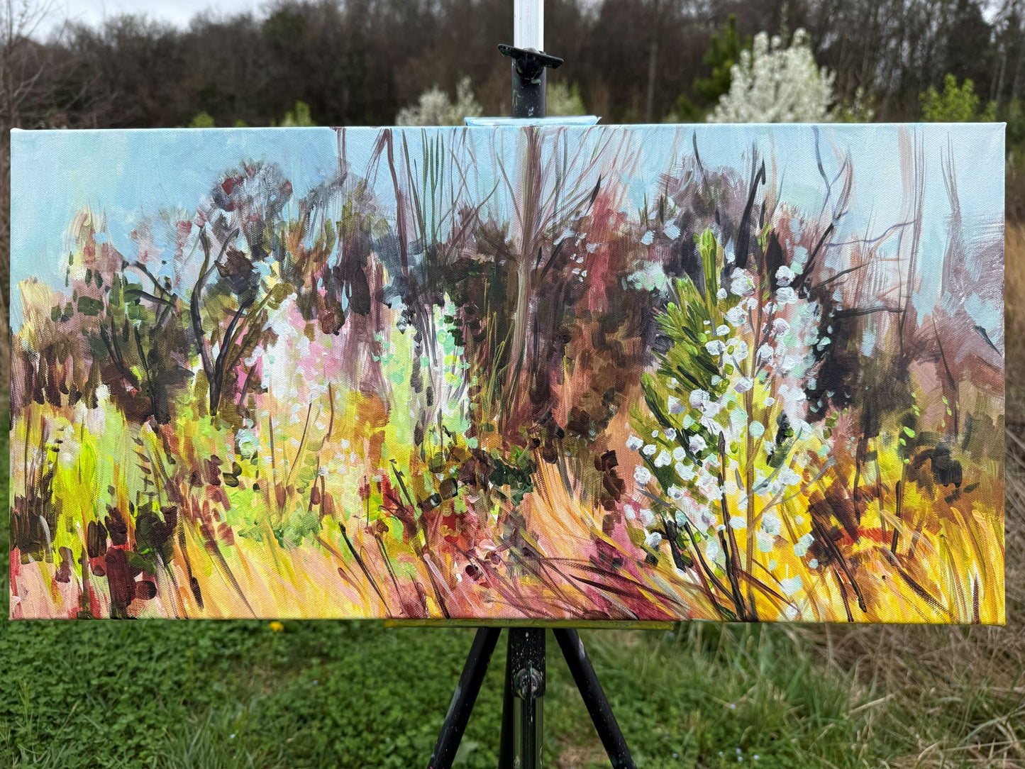 Ode to Spring - Acrylic Painting by artist Charlotte Rollman 12x24