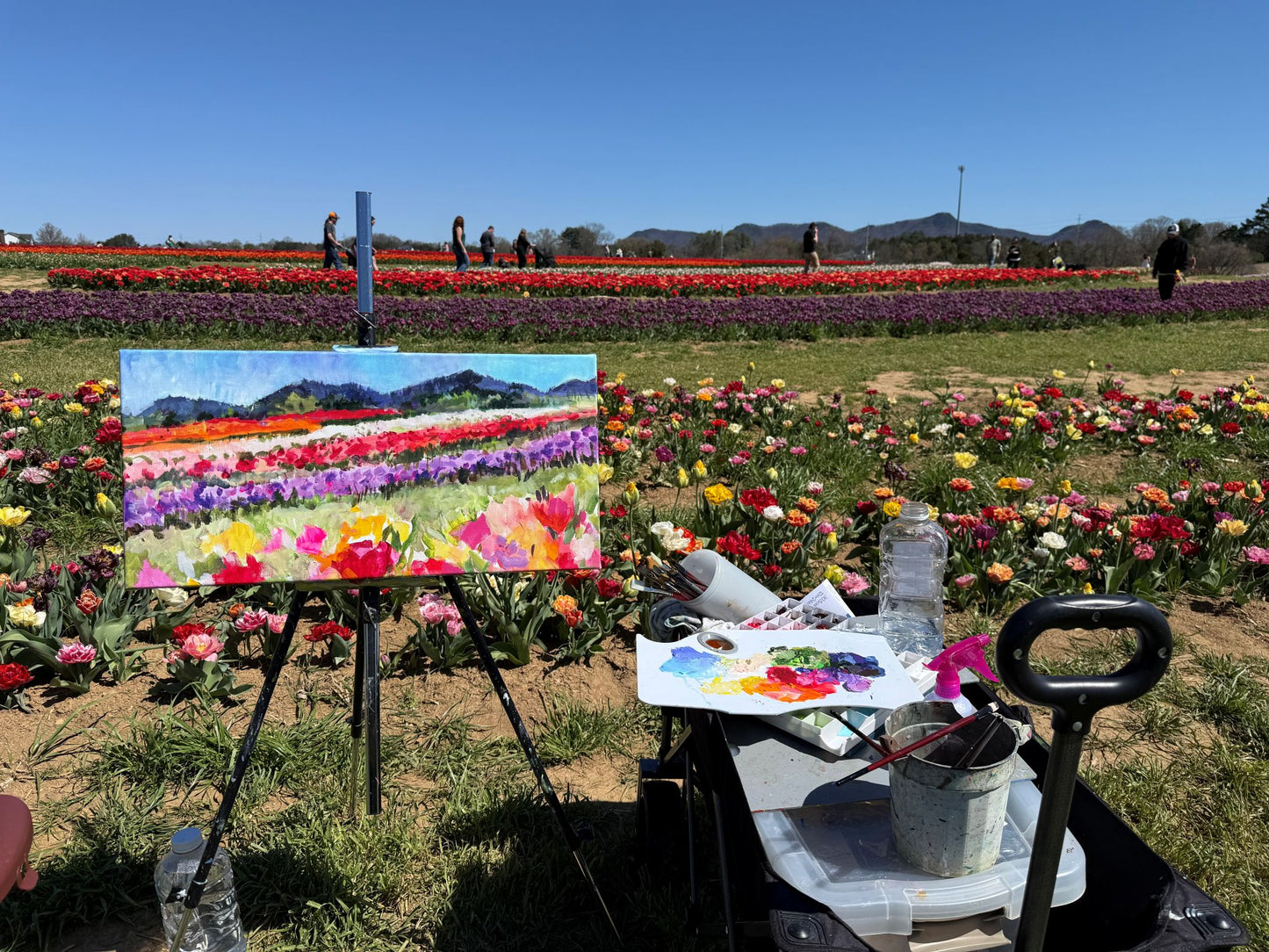 Tulip Parade - Acrylic Painting by artist Charlotte Rollman 12x24