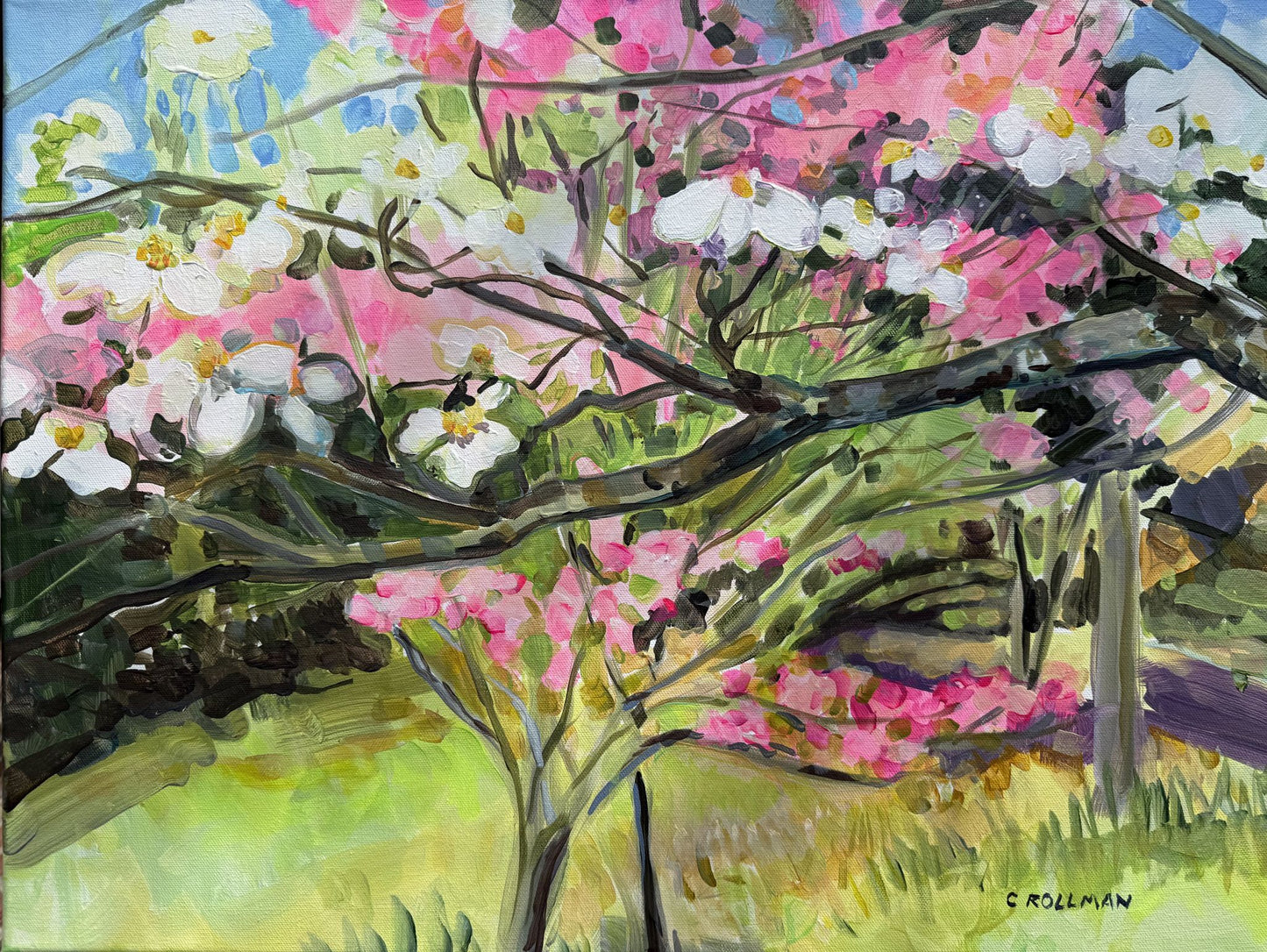 Dogwood Spring  - Acrylic Painting by artist Charlotte Rollman 18x24