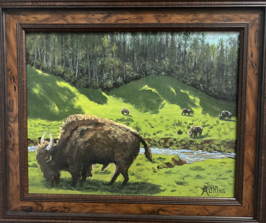 Well I'll Be Buffaloed - Artist John Adkins 11x14