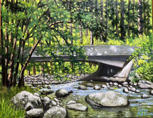 Swimming Hole at Tremont - Oil Painting by artist John Adkins
